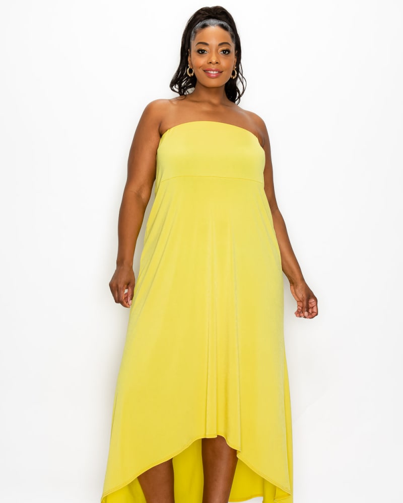 Women's plus size online high low dress